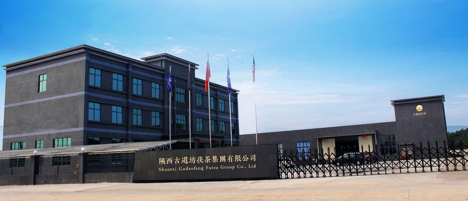 중국 Shaanxi Gudaofang Futea Group Co., Ltd. 회사 프로필